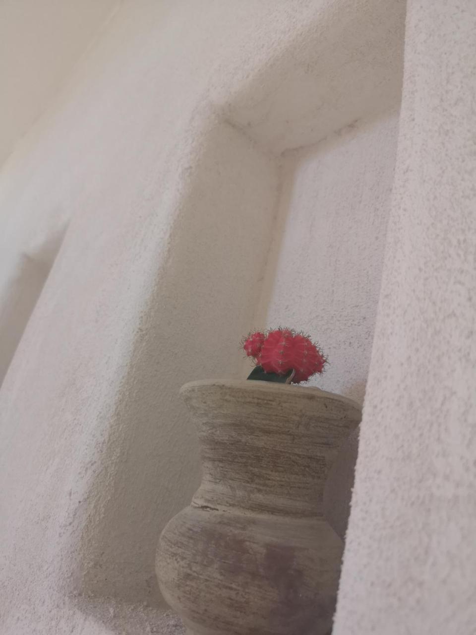 B&B Villa Rosalia 프로치다 외부 사진