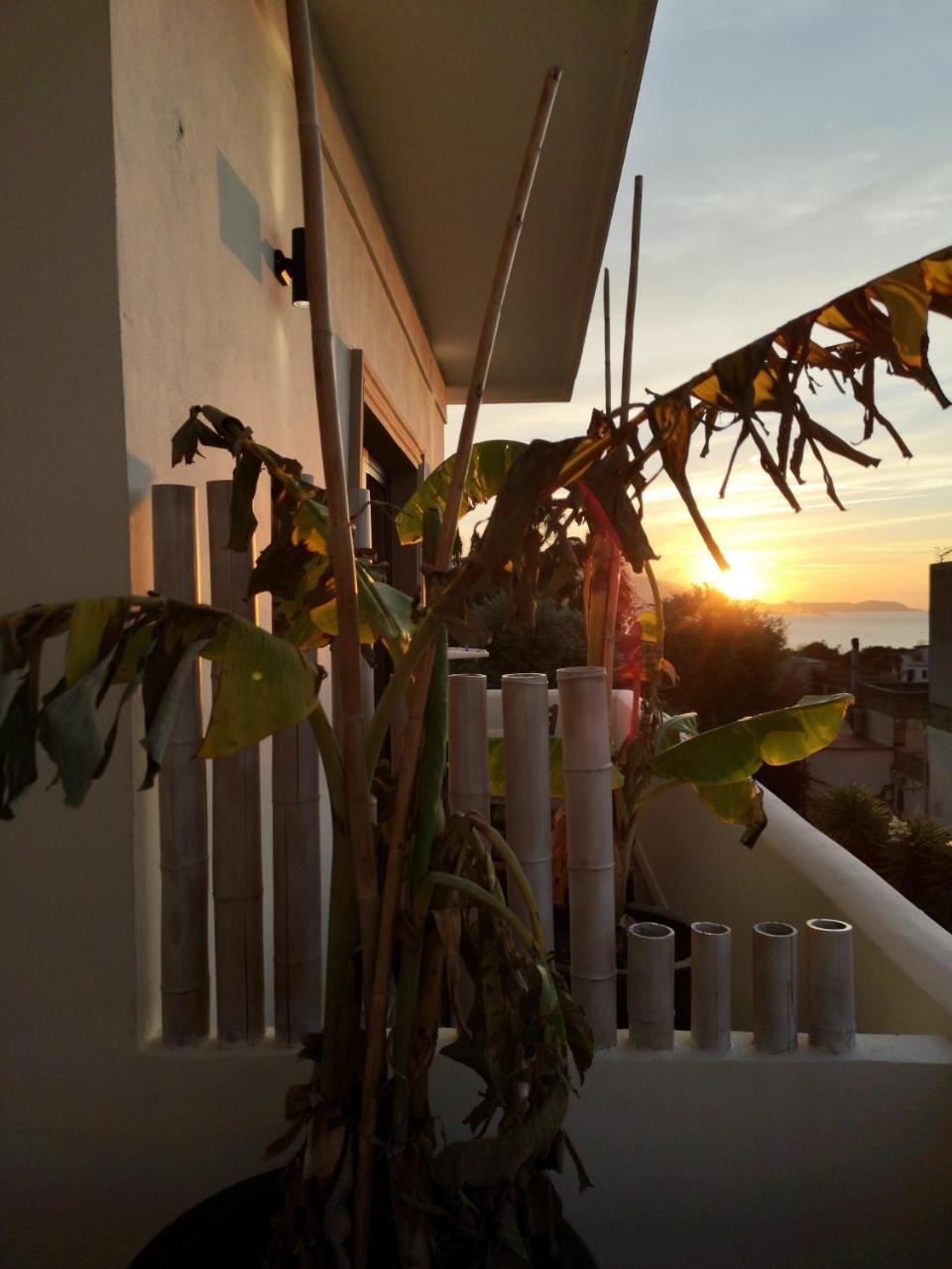 B&B Villa Rosalia 프로치다 외부 사진