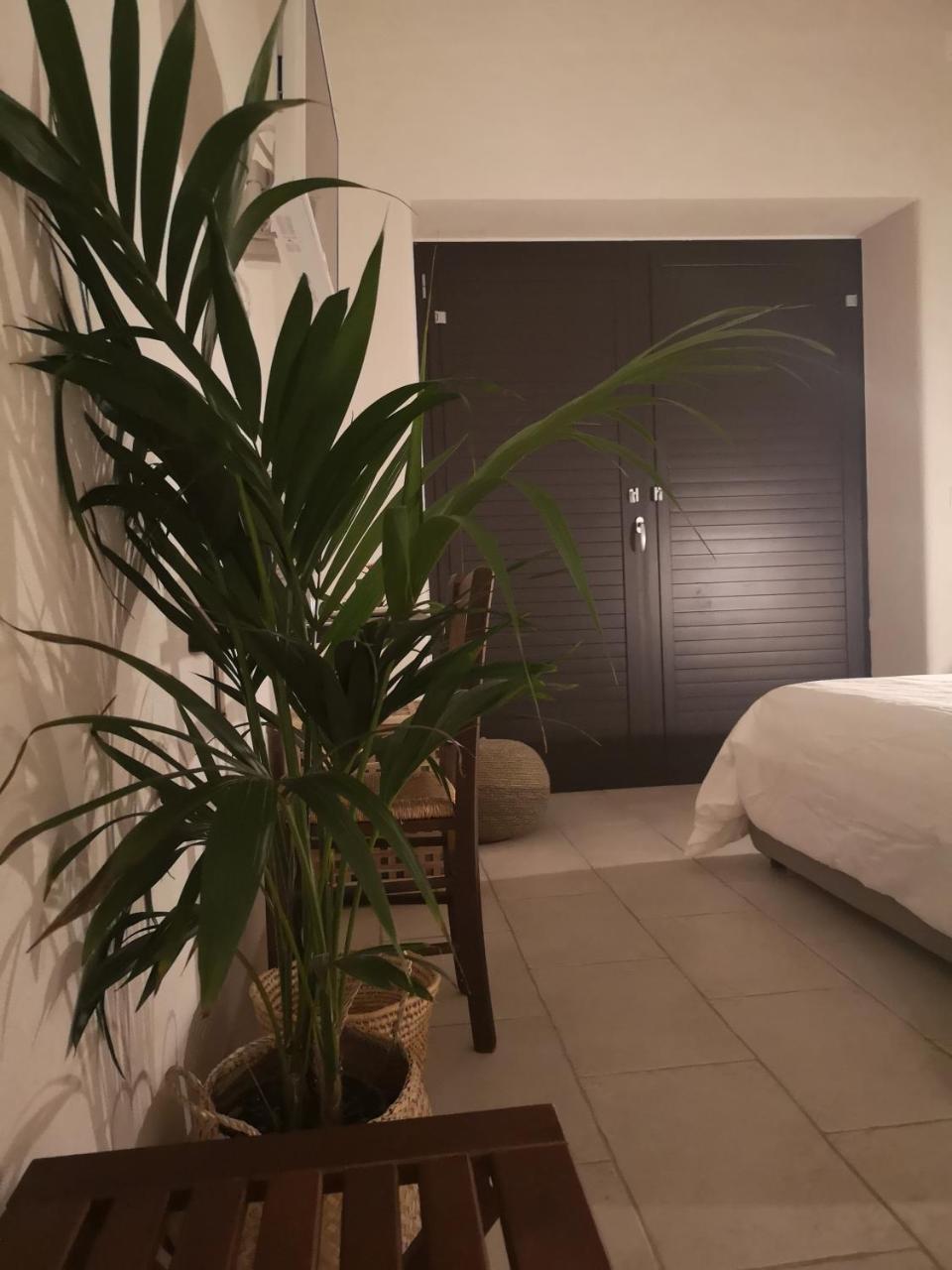 B&B Villa Rosalia 프로치다 외부 사진