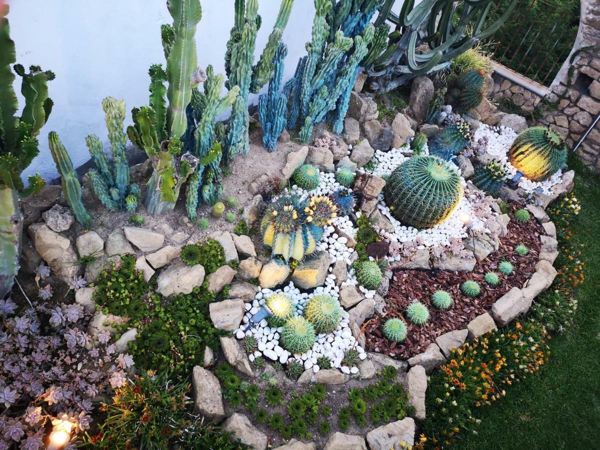 B&B Villa Rosalia 프로치다 외부 사진